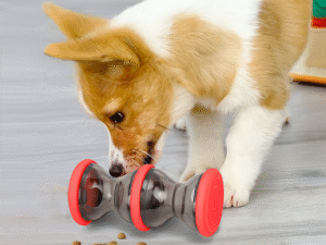 Juguete Para Perro Dispensador De Comida Pet Leaker Grande