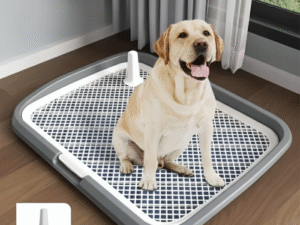 Bandeja Sanitaria Perros 65x50 Entrenamiento Baño Cachorros