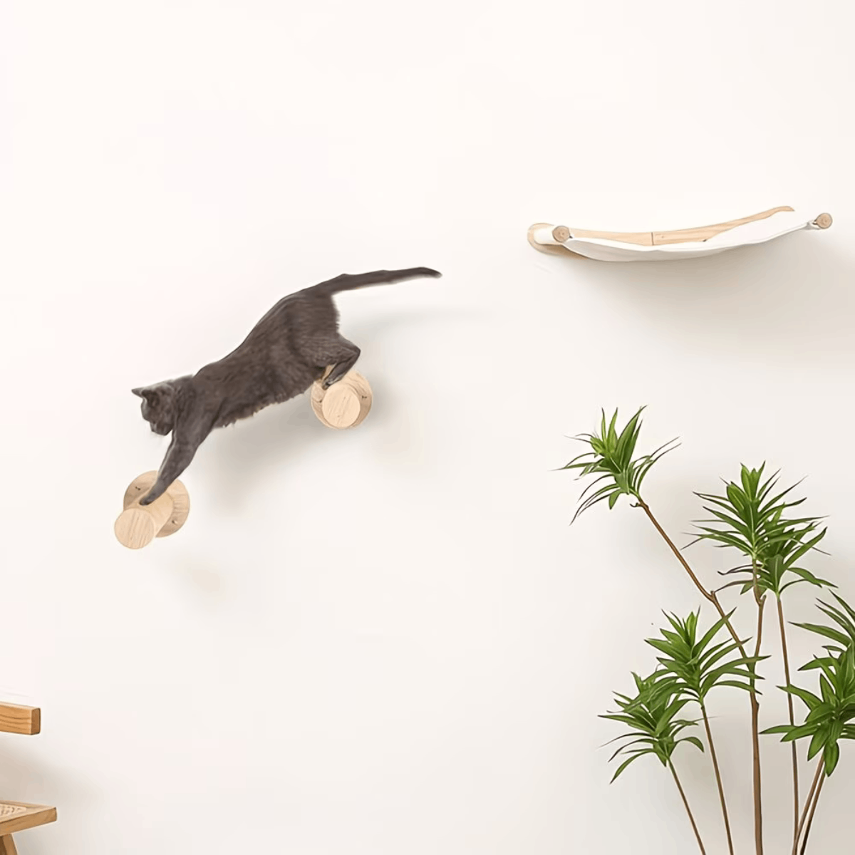 Rascador De Pared Para Gatos Con Hamaca Y Escaladores Sisal - Image 2